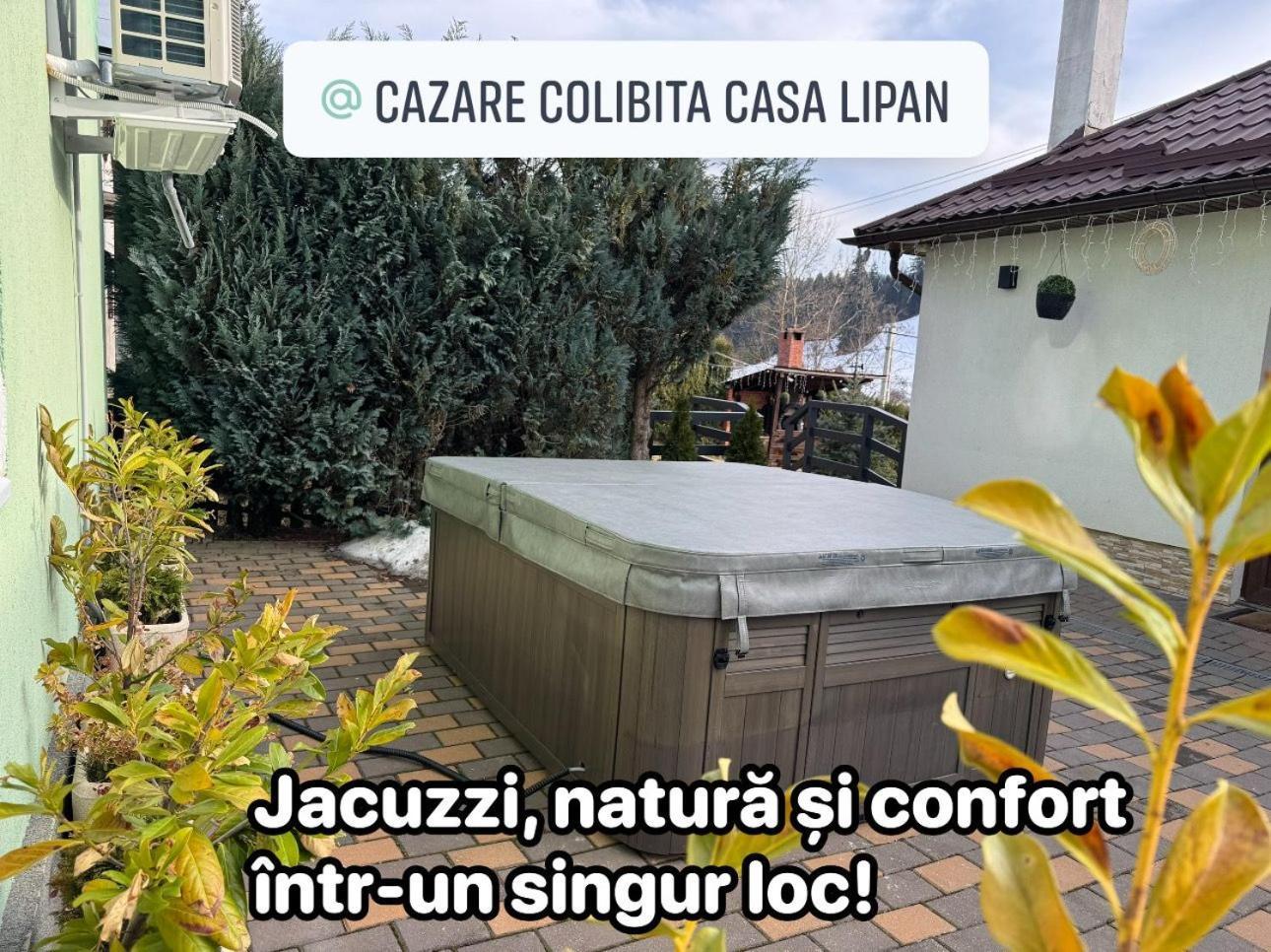 Cazare Colibita Casa Lipan Exterior photo